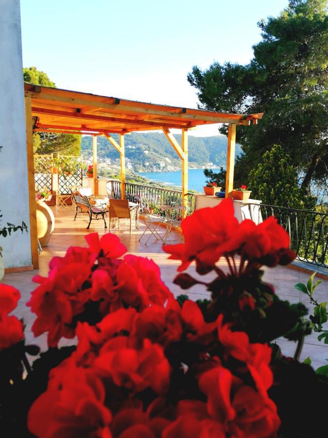 Il Sogno Di Vincenzo E Maria Bed and Breakfast Palinuro Εξωτερικό φωτογραφία