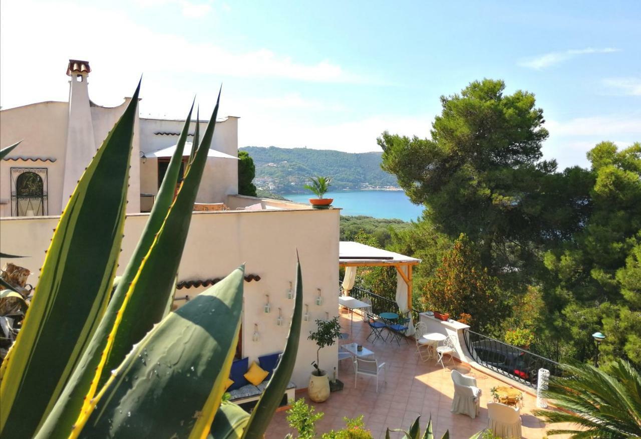 Il Sogno Di Vincenzo E Maria Bed and Breakfast Palinuro Εξωτερικό φωτογραφία